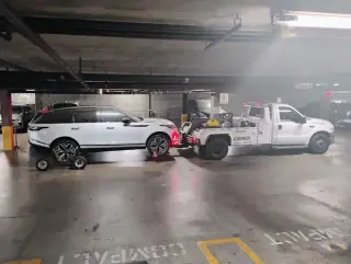 Bunny towing service