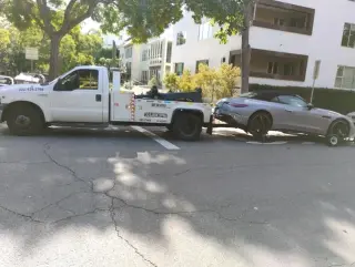 Bunny towing service
