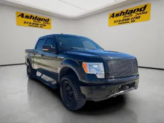 2010 Ford F-150 FX4