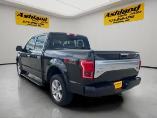 2015 Ford F-150 Platinum