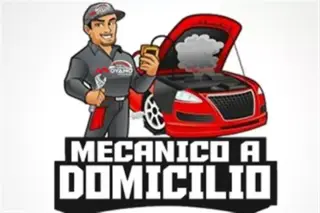 UN AÑO de GARANTIA por ESCRITO