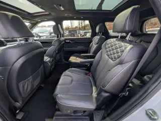 Hyundai PALISADE 2022 Calligraphy 4dr SUV