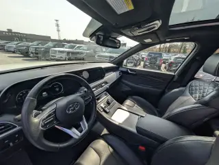 Hyundai PALISADE 2022 Calligraphy 4dr SUV
