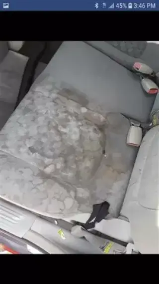Lavado de interiores de autos