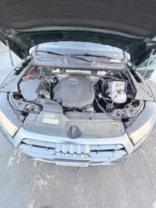 2019 Audi Q5 quattro Premium Plus 45 TFSI