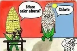 VAMOS a DOMICILIO o En TALLER