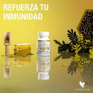 Productos de la colmena