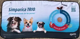PARASOLES PARA AUTO PERSONALIZ