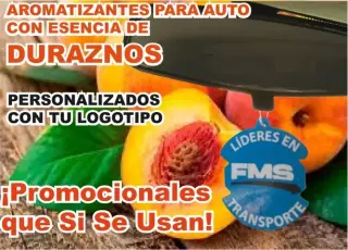 AMBIENTADOR PUBLICITARIO AUTO