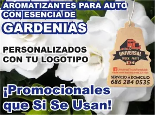 AMBIENTADOR PUBLICITARIO AUTO