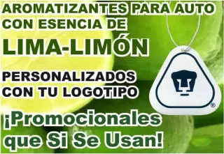 AMBIENTADOR PUBLICITARIO AUTO