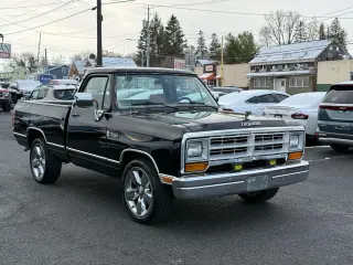 1989 Dodge D100 & W100
