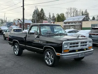 1989 Dodge D100 & W100