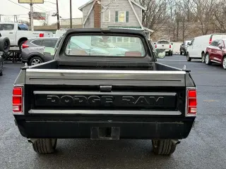 1989 Dodge D100 & W100