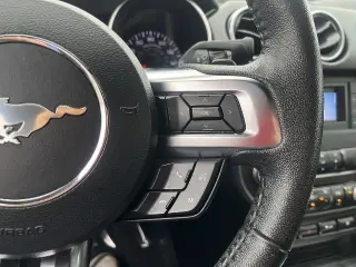 Ford Mustang 2019 EcoBoost 2dr Fastback