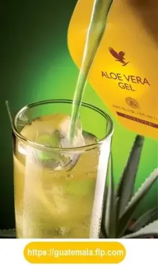 Beber Forever Aloe Vera GEL
