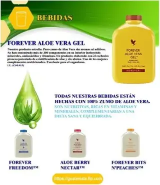 Beber Forever Aloe Vera GEL