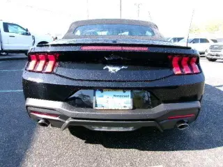 Ford Mustang 2025 EcoBoost 2dr Convertible