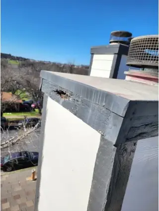 Se ase roofing roofing service