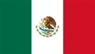 VIENES LLEGANDO DE TU PAIS?