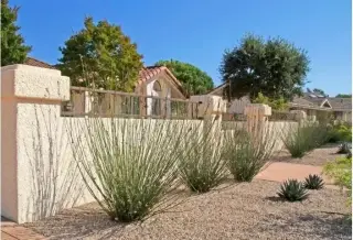 MAX POOL REPAIRS & EXTERIORS
