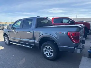 Ford F-150 2023 4x4 Platinum 4dr SuperCrew 6.5 ft. SB