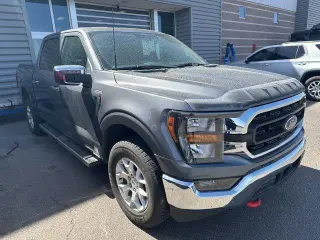 Ford F-150 2023 4x4 Platinum 4dr SuperCrew 6.5 ft. SB