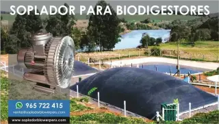 SOPLADORES ANTIEXPLOSIVOS
