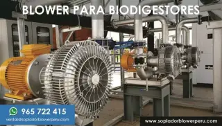 SOPLADORES ANTIEXPLOSIVOS