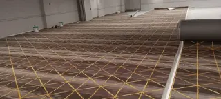 Bolaños carpet