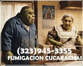 FUMIGATIONS ALL DAY CALL NOW.-