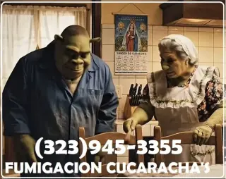 FUMIGATIONS ALL DAY CALL NOW.-
