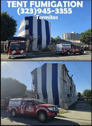 FUMIGATIONS ALL DAY CALL NOW.-