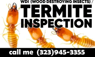 FUMIGATIONS ALL DAY CALL NOW.-