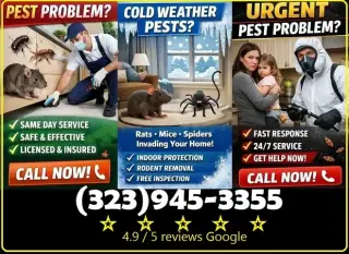 FUMIGATIONS ALL DAY CALL NOW.-