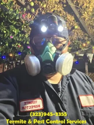 FUMIGATIONS ALL DAY CALL NOW.-
