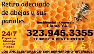 FUMIGACIONES SANTA ANA 24/7.-