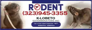 RODENT CONTROL (323)945-3355