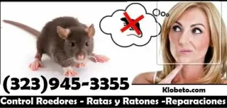 RODENT CONTROL (323)945-3355