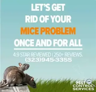 RODENT CONTROL (323)945-3355