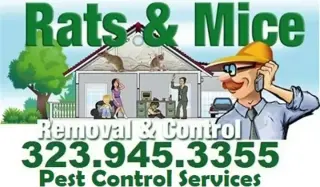 RODENT CONTROL (323)945-3355