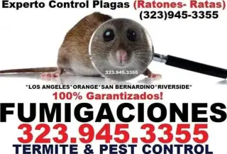 RODENT CONTROL (323)945-3355