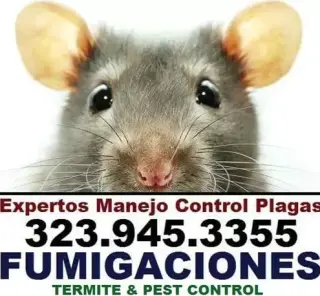 RODENT CONTROL (323)945-3355