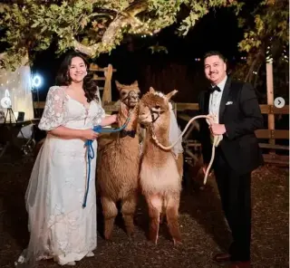 Reptacular Ranch - Eventos