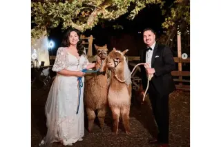 Reptacular Ranch - Eventos