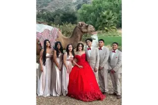 Reptacular Ranch - Eventos