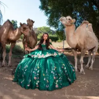Reptacular Ranch - Eventos