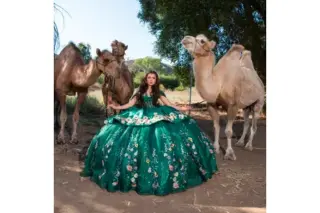 Reptacular Ranch - Eventos