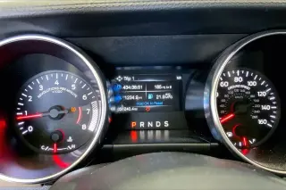 Ford Mustang 2023 EcoBoost 2dr Fastback