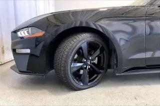 Ford Mustang 2023 EcoBoost 2dr Fastback